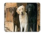 Chocolate Yellow Black Labrador Retriever Dogs Customized Rectangle Non-Slip Rubber Mousepad Gaming Mouse Pad