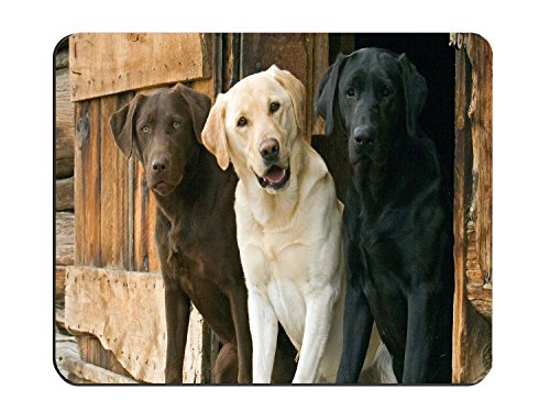 Chocolate Yellow Black Labrador Retriever Dogs Customized Rectangle Non-Slip Rubber Mousepad Gaming Mouse Pad