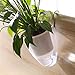 3 Pack Self Watering Wall Planters, Clear Plastic Wall Planters Flower Pots Indoor Outdoor Window for All Plants, Succulents, Herb, African Violets, Flowers (Small)thumb 3