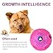 Amuda Pet IQ Interactive Treat Puzzle Food Dispensing Ball, Non Toxic, Bouncy Dog Tooth Cleaning Chewing Training Toys Balls