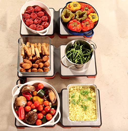 Modular Electric Warming Trays | Folding Trays, Temperature Adjustable, Heated Plates for Easy Serving in Events, Home Parties, Restaurants | Connect Up to 5 Units (2 PACK - 4 Heating Surfaces) (Grey)