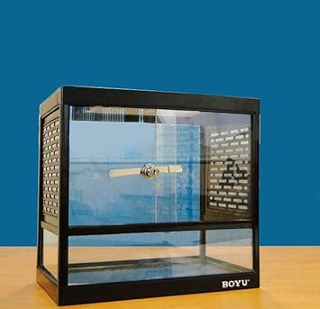 komodo glass terrarium