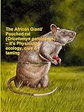 The African Giant/Pouched Rat (Cricetomys Gambianus) - It's Physiology, Ecology, Care & Taming by 