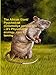 The African Giant/Pouched Rat (Cricetomys Gambianus) - It's Physiology, Ecology, Care & Taming by 