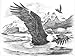 Reeves Soaring Eagles Sketching by Numbers, Large