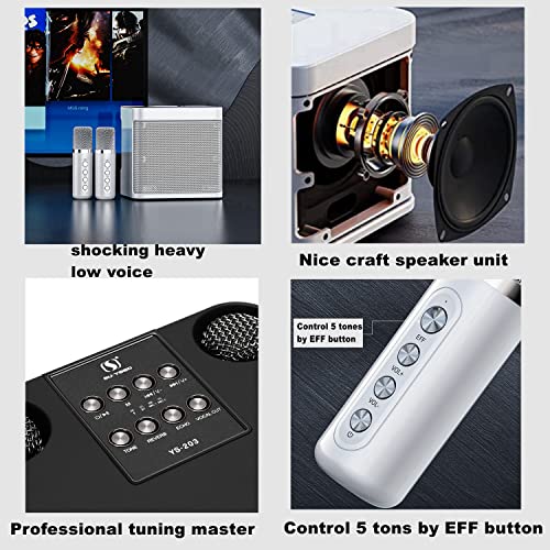 Roadpassion Karaoke Machine,Rechargeable Portable Bluetooth Karaoke Speaker with 2 Wireless Microphones Karaoke Equipment for Indoor Outdoor Party