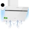Klarstein-Alina-Campana-Extractora-60-cm-Extractor-Cocina-de-Pared-Filtro-de-Carbono-Eficiencia-Clase-A-Potencia