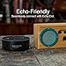 Bongo Bamboo Retro Bluetooth Speakers - Portable Wireless Handcrafted Wood Speaker for Travel, Home, Outdoors | Dual Passive Subwoofer, 15 Hour Battery - Vintage Green