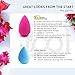 360 Beauty Sponge Blender Cosmetic Foundation DURABLE flawless brush complexion makeup sponge tool + mini blending sponge OPTIMIZED Latex-Free and Vegan for cream powder liquid application