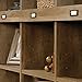 Sauder Adept Storage Credenza, Multi-Purpose Organization, Storage Credenza - Craftsman Oak Finish