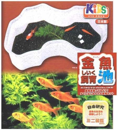 Optimum goldfish breeding pond in free research