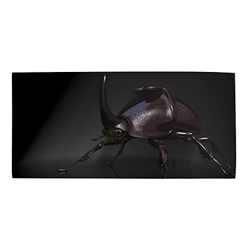 Amazon Com Highly Absorbent Hair Towels Animal Rhinoceros Beetle