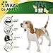 Сat Urinary Tract Infection Treatment with Cranberry – Dog UTI Treatment to Care for Bladder – Cat UTI Treatment for Kidneys – Preventive Support for Renal Health in Drops – 2 Oz