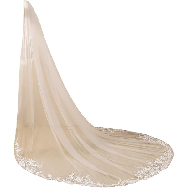 New! Blush Champagne Raw Edge Cathedral Length Wedding Veil 108\'\' with Comb Cathedral Wedding Veil with Blusher - Bridal Goals 2024  main image 3
