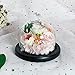 SANRAN Eternal Rose- Preserved Flower Rose Handmade Fresh Flower Rose with Beautiful Creative Heart Design Gift for Valentine's Day Mother's Day Christmas Anniversary Birthday Thanksgiving