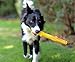 Ruff Dawg Stick – 12” Rubber Retrieving Stick – Durable, Floating, Treat-Fillable Toy for Medium to Large Dogs – Ideal for Fetch, Outdoor Play & Teething Relief