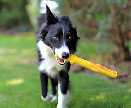 Ruff Dawg Stick Rubber Dog Toy Assorted Colors