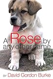 A Rose by Any Other Name: Life Lessons from an Unremarkable Dog by David Gordon Burke