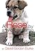 A Rose by Any Other Name: Life Lessons from an Unremarkable Dog by David Gordon Burke