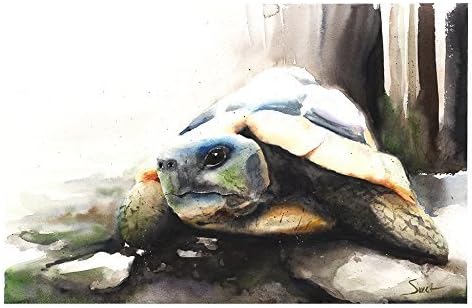 Tortoise Turtle Watercolor Print