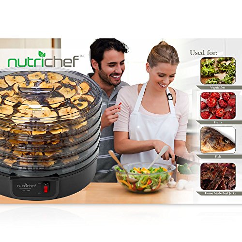 4 Electric+Countertop+Food+Dehydrator+Machine