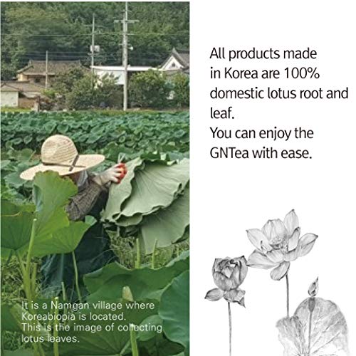 [GNTea] Lotus Root tea (bulk) 0.7oz, Korea tea, new fresh, Comfortable mind and body, Cleansing the blood, Handmade Roasting - Thumbnail 6