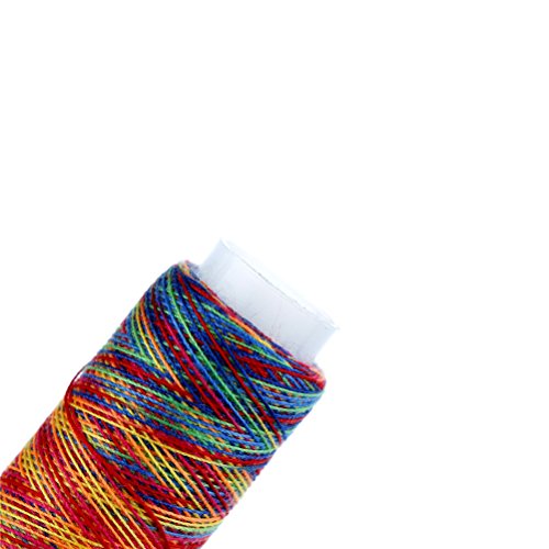 DINGJIN 10 Pcs Rainbow Color Sewing Thread DIY Embroidery Sewing Yarn Knitting Thread (Each 120 Yards)
