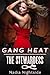 Gang Heat: The Stewardess (Unprotected Force Book 2)