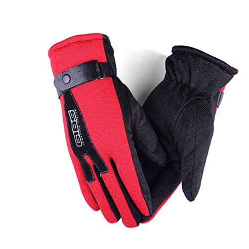Mandy's Men's Autumn Winter Outdoor Sport Running Cycling Hiking Gloves (One Size, Red)