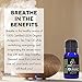 Aweganics USDA Organic Essential Oils, Premium Melaleuca 100% Pure Natural Therapeutic-Grade, Best Aromatherapy Scented-Oils for Diffuser, Skin, Face (Tea Tree, 10 ml)