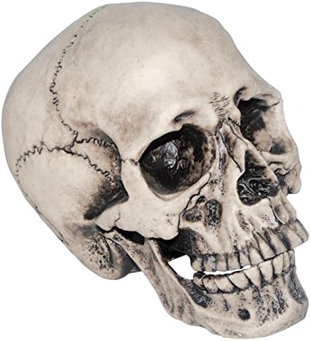 Realistic Vinyl Skull Haunted House Halloween Decoration