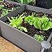 Watex Urban Farming WX036 Double Raised Garden Bed Kit,Micro Irrigation kit included, 2-Bed, Grey (Renewed)thumb 2