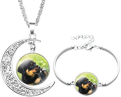 Socutee Ideal Gifts Girls, Women Cute Dog Bulldog Golden Retriever Labrador Times Gem Moon Crescent Necklace Bracelet Set