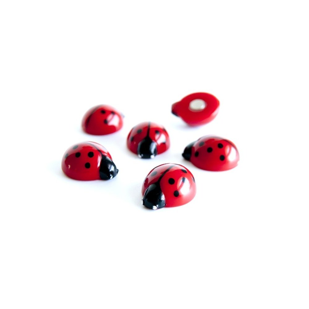 Assorted Animal Style Office Magnets for Magnetic Whiteboards, Noticeboards, Filing Cabinets, or Fridges - Lady Bugs - Pack of 6