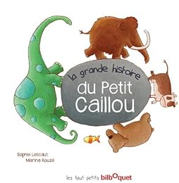 La  grande histoire du petit caillou