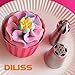 DILISS Cake Decorating Nozzle Set - 6 Stainless Steel Russian Piping Tips & 4 Sphere Balls, 2 Couplers, and 10 Disposable Pastry Bags & 1 Reusable Silicone Pastry Bag, Pastry Cake DIY Baking Tool