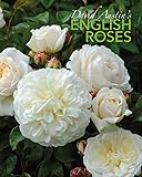 David Austin's English Roses by 
