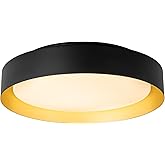 TIAZFCA 12 Inch LED Flush Mount Ceiling Light, 18W Flush Mount Light Fixture in Black and Gold Finish, Dimmable Ceiling Light
