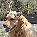 Bascolor Pet Costume Antlers Headbands with Ears Adjustable Flexible for Dogs Cats Various Size Halloween Christmas Festival Pets Costumes (L)