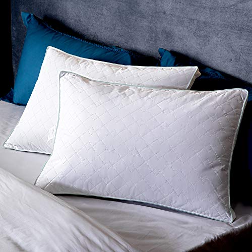 puredown Natural Goose Down Feather Gusseted Pillows Inserts for