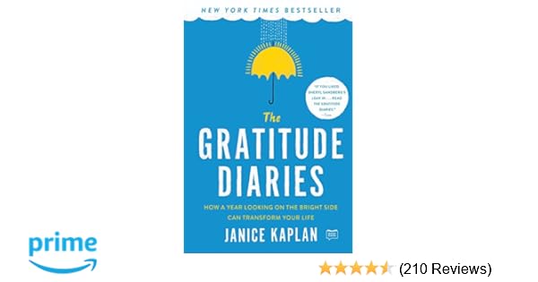 The Gratitude Diaries How A Year Looking On The Bright Side Can