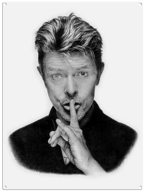 Small (150 x 200mm) Metal Sign - David Bowie