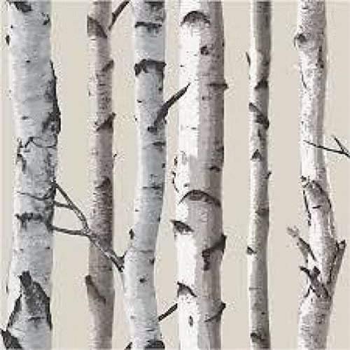 Brewster FD31051 Birch Tree Wallpaper - Natural, 2.8 x 20.9 cm