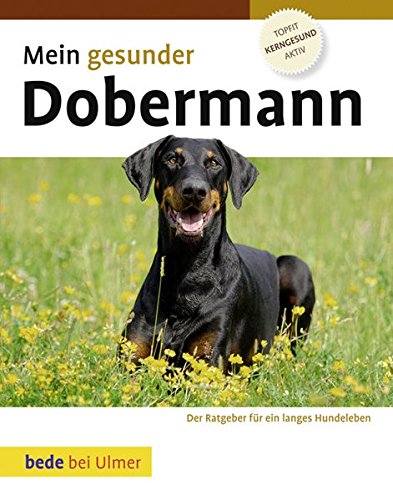 Dobermann - Charakter, Wesen und Rassebeschreibung