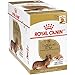 Royal Canin Breed Health Nutrition Dachshund Loaf in Gravy Pouch Dog Food, 3 oz Pouch (Pack of 12), 723085