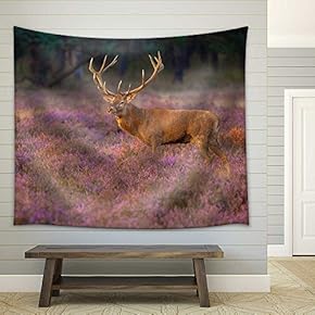 Male Red Deer (Cervus Elaphus) with Giant Antlers During Mating Season on the Hoge Veluwe, Netherlands - Fabric Wall Tapestry Home Decor - 51x60 inches
