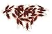 Bilipala Fake Cockroach Novelty Roaches Bugs Realistic Insects, Pack of 50