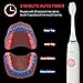Sterline Sonic Electric Rechargeable Toothbrush with UV Sanitizer and 12 Replacement Heads, 4 Brushing Modes, Elite Toothbrush with Smart Clean Technology, White