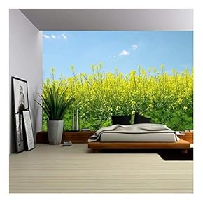 Spring Landscape with rapeseed Field - Removable Wall Mural | Self-Adhesive Large Wallpaper - 66x96 inches