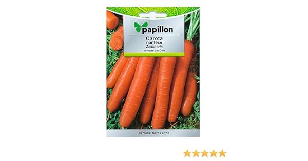 Semillas Zanahoria Nantes Temprana (7 Gramos): Amazon.es: Jardín